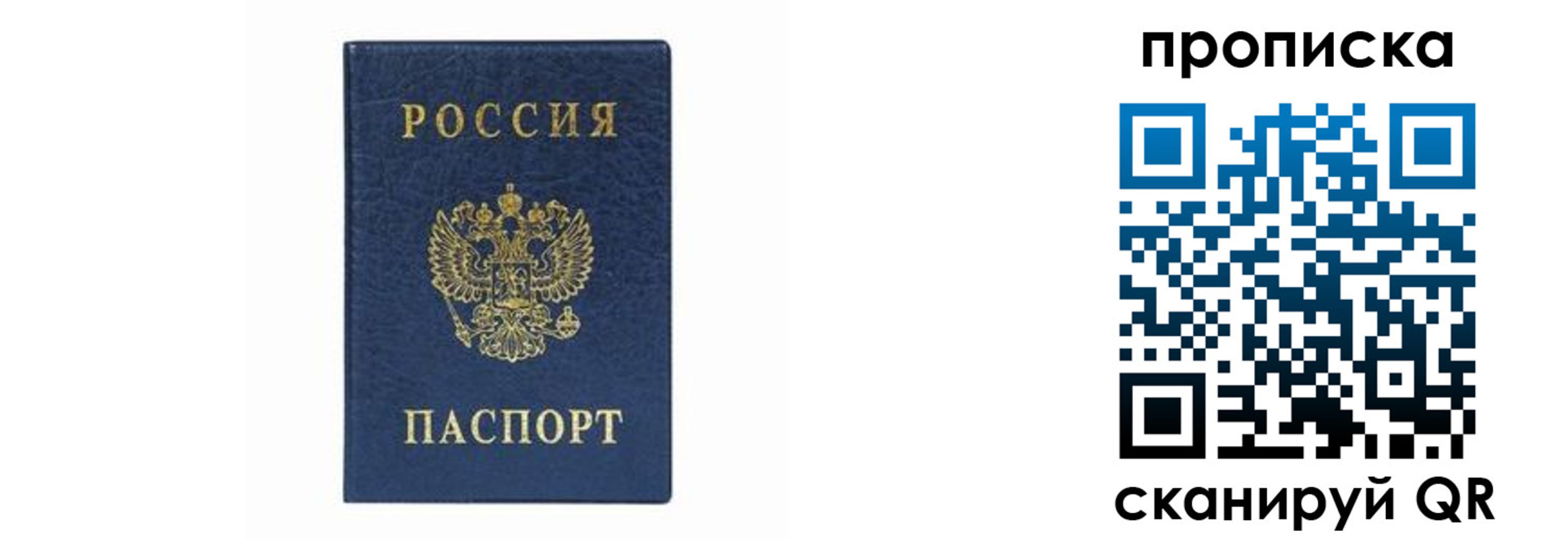 временная регистрация поиск в Грозном
